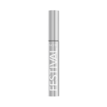 FESTIVAL MASCARA